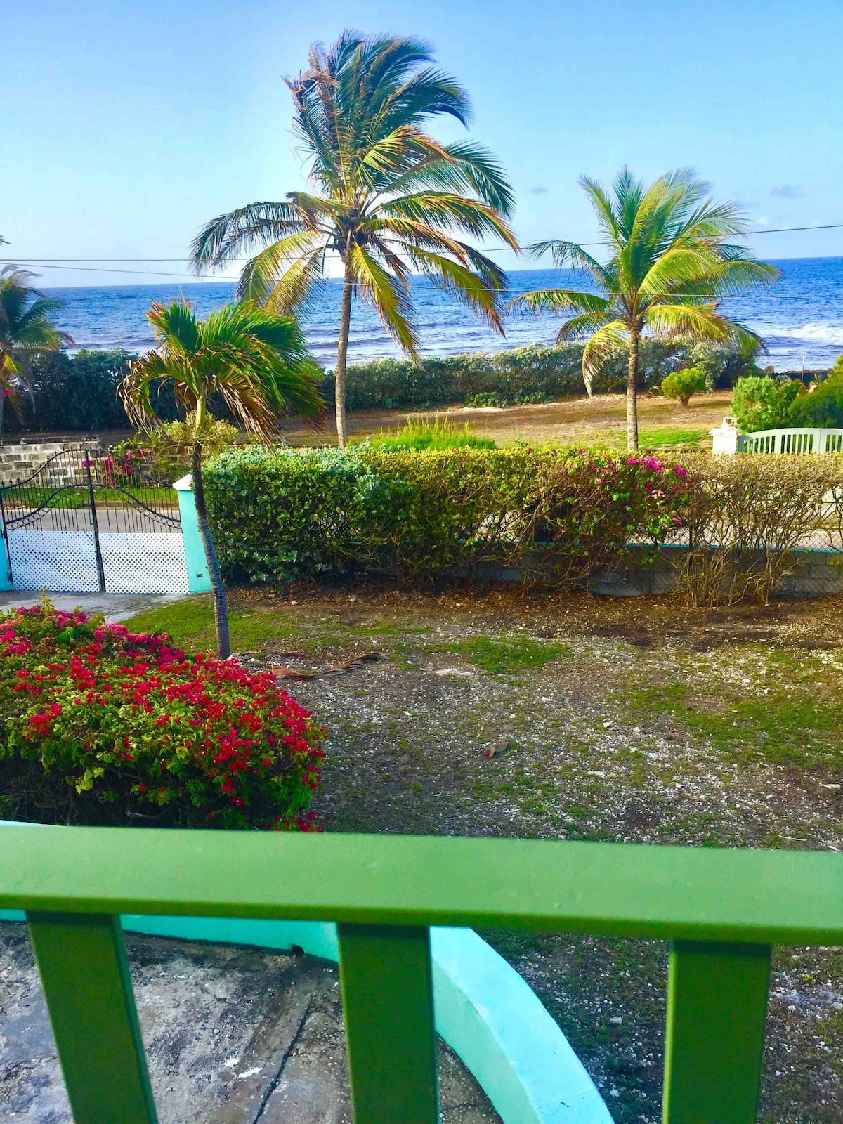 Palms and Atlantic waves seen across Seaside Drive from Sea Mist